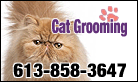 Ottawa Cat and Dog Grooming